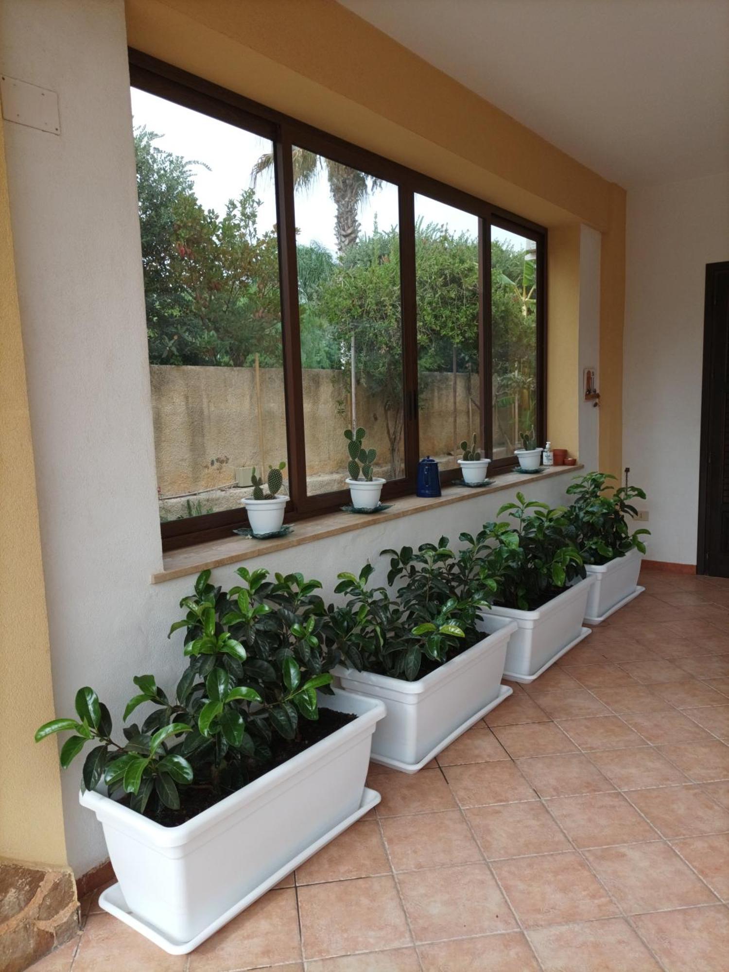 Acasammare Apartment Marsala Buitenkant foto